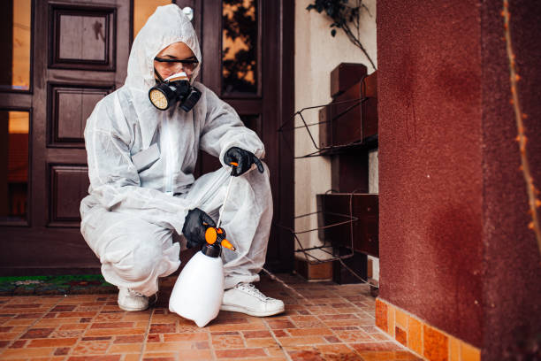 Reliable Rodent Control contractor in Bartonsville, MD by Nex Pest Control