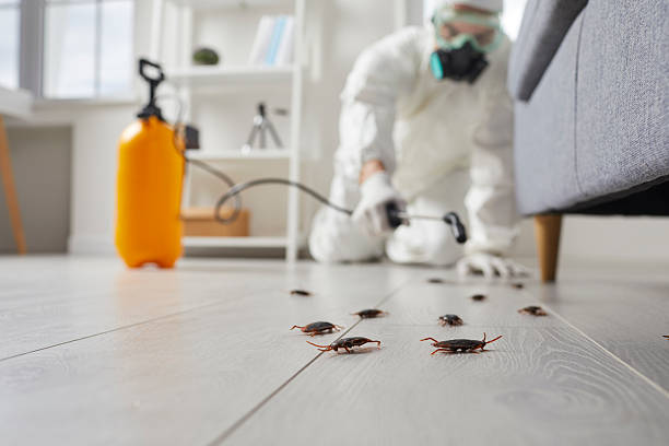 Trusted Rodent Control service in Bartonsville, MD - Nex Pest Control