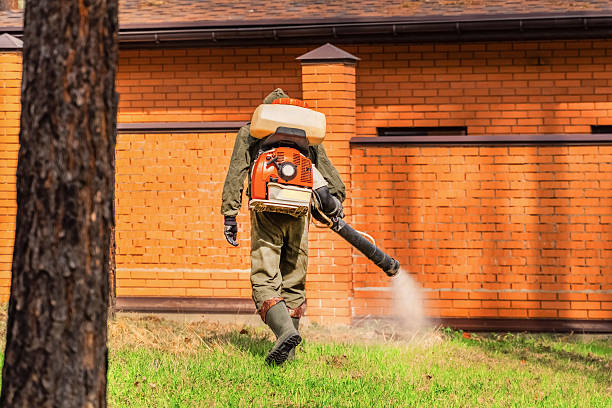Trusted Cockroach Control service in Bartonsville, MD - Nex Pest Control